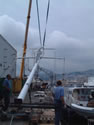 carbon mast